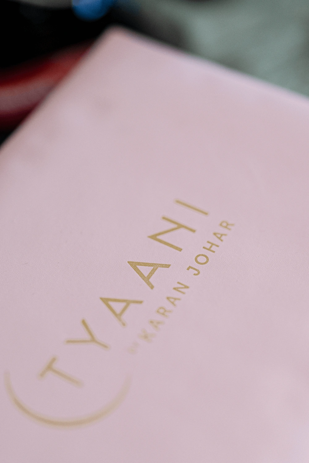 professional wedding photographers in Delhi